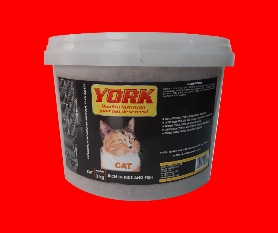 3kg york cat