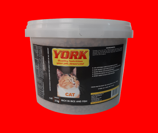 3kg york cat